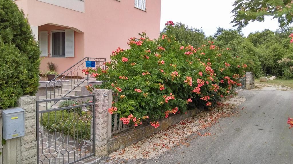 Rina Apartments Labin  Dış mekan fotoğraf